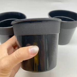 TKT10VN - Set 10 Chậu nhựa PVC cứng cáp – hàng Việt Nam chất lượng cao szie 10x9cm