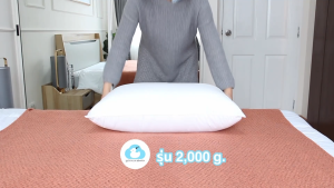 2000g หมอนขนเป็ดเทียม Lazy Duck Heaven - หมอนขนเป็ด 2000g