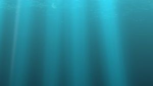 GOGO Snorkeling Set: A Comprehensive Guide to Adjustable Diving Masks & Tempered Glass Snorkeling Masks