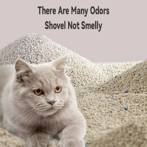 4kg Bentonite Cat Litter Natural Cat Litter Sand Eliminates Odor Fast Clumping and Hypoallergenic