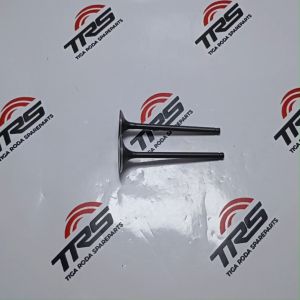 TRS Klep Set In dan Ex Motor Viar Karya 200cc Oem Viar Spareparts Original TRS SEMARANG