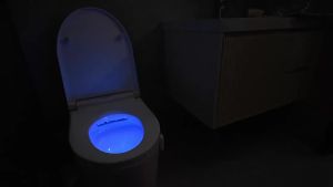 ZK30 Smart PIR Motion Sensor Toilet Seat Night Light 8/16 Colors Waterproof Backlight For Toilet Bowl LED Lamp WC Toilet Light