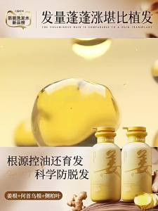 Pozitilan | Anti-Hair Loss Dandruff Controlling Volumizing Anti-Itch Hair Growth Shampoo