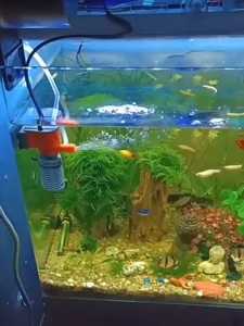 🐟Plug Malaysia🐟 Xi Long Aquarium Filter Silent Water Pump Oxygenation Wave Maker Small Fish Tank Filter