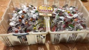 ( isi 100 Pcs ) Souvenir GANTUNGAN KUNCI BUAH kemas PLASTIK Kartu Ucapan Suvenir Murah Makassar