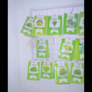 Hạt giống Măng tây xanh cao sản dễ trồng năng suất cao