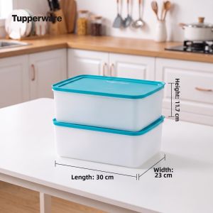 Tupperware | Food-Grade Freezer Refrigerator Preservation Box 5.7L