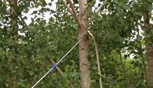 [READY STOCK]  7/9 Meters HEAVY DUTY Telescopic High Pruning Branch Shears Saw Tree Cutter kelapa Fruit Picker viral Galah PENGAIT BUAH MODEN Galah Kait Buah