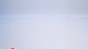 Hex Head Shafts Mortar Mixing Paddle Suitable For 1 To 5 Gallon Bucket Paint And Mud Mixer Putty Power Drill Stirring Tools