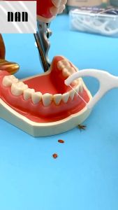 50Pcs/Set Teeth Toothpicks Stick Dental Floss Flosser Picks Tooth Clean Oral Care