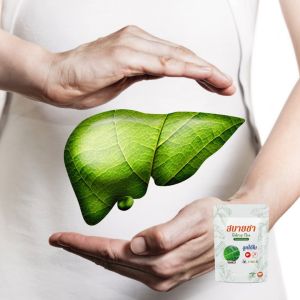 ชาลูกใต้ใบ ตับดี ไขมัน พอก ดื่มจัด หนักโซเดียม