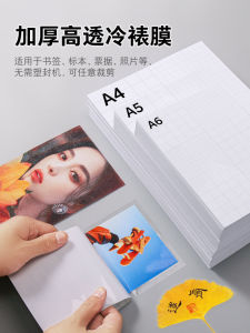 Cold Laminating Film & Insect Specimen Photos: A Comprehensive Guide