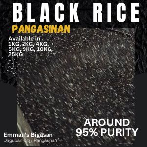 5KG Pack Black Rice Pangasinan [Emmans Bigasan]