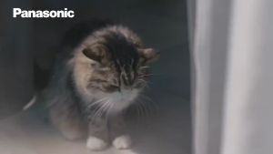 [ORIGINAL] Panasonic Curtain Nozzle Vacuum Cleaner AMC-CT1 MC-CG371 MC-CG373 MC-CL571 MC-CL573 MC-CL575 MC-CL601