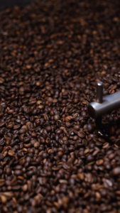 Figaro Coffee 2 PACK COMBO 250G x 2 - COFFEE BEANS