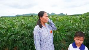 คำสำคัญ: ฮอร์โมนพืช, บี ออร์แกนิค, พลัส ปูยน้ำ, สารเสริมประสิทธิภาพ, สารบำรุงพืช, B-Organic Plus, 1000 cc, ส่งฟรี