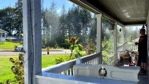 ล้างฝุ่น PM2.5 ชุดพ่นหมอกหัวพ่นทองเหลือง ไม่เปียก หมอกละเอียดสะใจเพราะมีปั๊มแรงดัน10บาร์ เงียบมาก อุปกรณ์ครบชุดต่อง่ายๆ