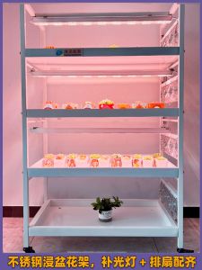 Stainless Steel Plant Tray Indoor Balcony Hydroponics Multi-layer Floor-standing Water Basin Tray Drip Pan Flower Stand