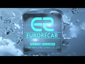 EURORECAR 220V Stainless Steel Jet Pump: A Comprehensive Guide