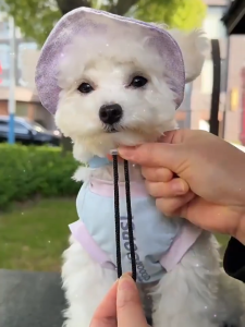 Adjustable Pet Sunscreen Hat With Ear Holes Cat Dog Fisherman Cap Breathable Anti-UV Outdoor Hat Pet Accessories