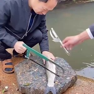 Dụng Cụ Mần Cá Kiêm Đánh Vảy Đa Năng