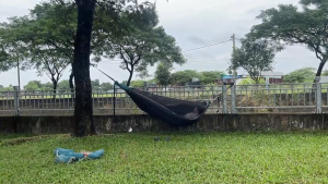 Tarp Mesh hammock 1 - Võng mùng 1