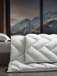 KANGERXIN | Moisture Proof Goose Down Duvet