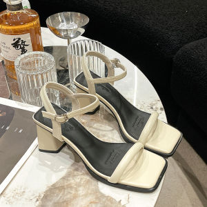 Elegant Roman Style Thick Heel Sandals Womens Summer Open Toe Square Head Shoes Fashionable French Style One Strap Sandals