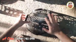 Rọ Bẫy Lươn 3 6 8 Cửa Nhựa PP Thái Lan - Bẫy Tôm Cua Cá Lươn Trạch - Phiên Bản 2024 + Tặng Mồi