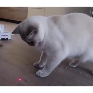 Đèn laze - đèn pin laser chiếu xa hàng kilomet - Đèn lazer dạy học - Cáp sạc miễn phí ALLIN