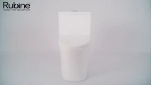 Rubine Piz Fora PF106 White One Piece Toilet Bowl with Rimless Funnel Flushing 3.0 System
