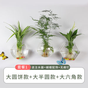 Creative Wall Hanging Small Vase Wall-Mounted Hydroponic Plant Glass Bottle Transparent Scindapsus Aureus Wall Hanging Vase Wall-Mounted Flower Pot