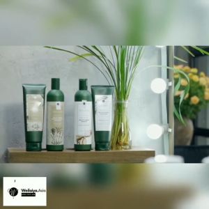 Dầu gội gừng Weilaiya chính hãng Lvy Shop hỗ trợ giảm rụng tóc kích thích mọc tóc nhanh dưỡng tóc mềm mượt