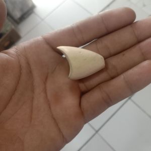 jaws mini 25 cm- umpan casting-B&J ONL SHOP