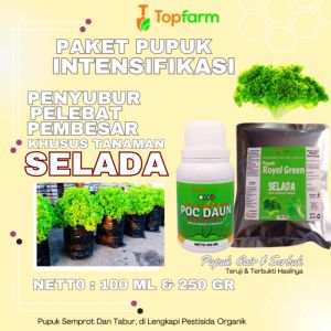 Pupuk Daun Untuk Tanaman Selada / Pupuk Penyubur Daun Selada / Pupuk Untuk Tanaman Selada / Pupuk Pelebat Daun Selada Hijau