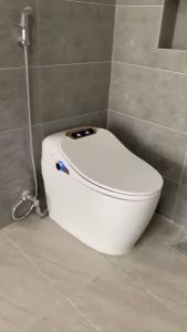 BỒN CẦU THÔNG MINH MẮT THẦN Q 09