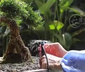 10 ชิ้น ชุดหัวน้ำหยด และสปริงเกอร์ หัวสีฟ้าละอองน้ำรอบทิศ แบบปรับได้ พร้อมก้านปักยาว 18/28ซม (จัดส่งจากประเทศไทย)