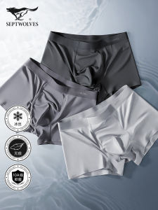 Septwolves Mens Ice Silk Briefs Seamless Boxer Shorts Summer Thin Modal Youth mid Waist Briefs Nylon Polyester Spandex Blend