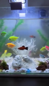 Fish Tank Aquarium Cave Simulation Mountain View Resin Bridge for Fish Tank Decoration Aquarium Mountain View Stone