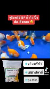 ลดแก๊สพิษ ควบคุมค่า pH ปรับสภาพน้ำ ปรับลำไส้ เสริมสร้างความสุขสุดในร่างกาย คุณค่า 100g จุลินทรีย์ชนิดเม็ด BF (RX-78)