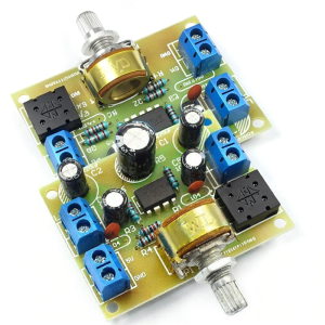 Risym | Dual-Channel Noise-Free Amplifier Board Teaching Kit