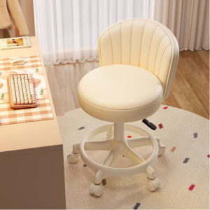 Rotating Adjustable Beauty Chair with Casters Silent