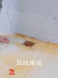 TAOSHI | Electric Pipe Clog Remover Machine