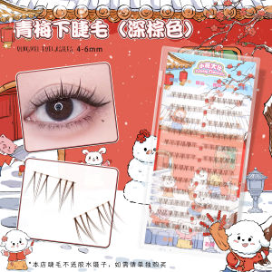 Natural Looking Fake Eyelashes Easy to Use for Beginners Small Flame Segmentation Versatile Artificial High Temperature Silk