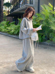 Loose Lazy Style Grey Polo Neck Sports Sweatshirt Set Womens Spring New Casual Wide Leg Pants Two Piece Set Fashion Ensemble