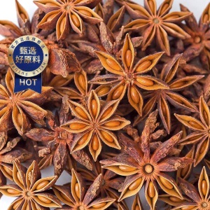 Guangxi Produced Star Anise High Quality Dry Spice
