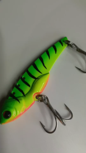 ปลากระดี่เล็กขนาด5cm น้ำหนัก 7กรัม สินค้าพร้อมส่ง(แพ็คละ1ตัว)