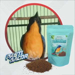 PUR BURUNG TLEDEKAN MAKANAN BURUNG TLEDEKAN BIAR GACOR