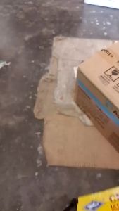 Benih Cabai Besar Arimbi 85 Hibrida F1 10 Gram
