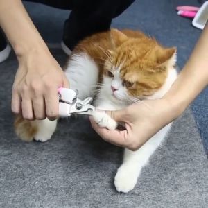 Set Gunting Kuku Kucing Anjing Stainless Steel Manicure Kuku Hewan Peliharaan Pet NAIL CLIPPER